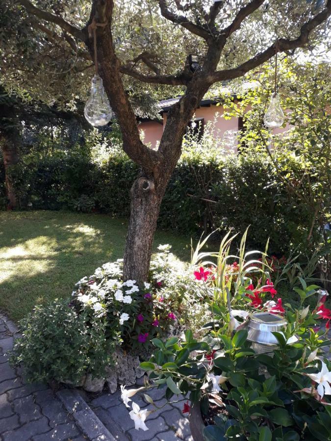 Casa Belvedere モンツァンバーノ エクステリア 写真