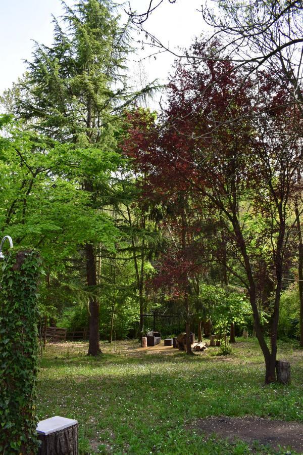 Casa Belvedere モンツァンバーノ エクステリア 写真